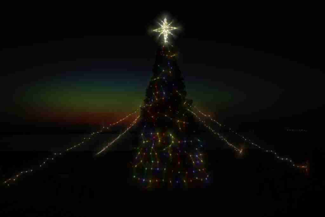 3rd Place Kathy Graham Oh Christmas Tree