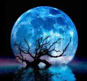 Honorable Mention at Large #71 Maureen Mackenzie Silent Reflection $900