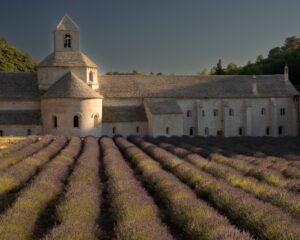 30 Third Place Anjula Smith Abbaye Notre-Dame deSénanque $350