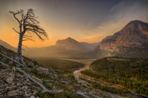 Second Place48 Susan Nolan Swift River $500